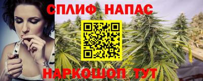 прущие грибы Ставрополь