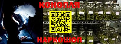 прущие грибы Ставрополь