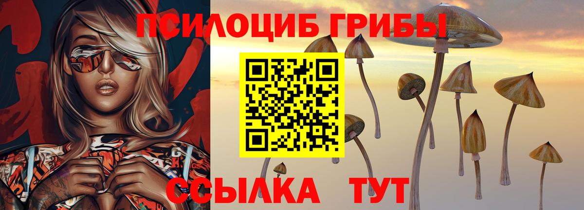 Псилоцибиновые грибы MAGIC MUSHROOMS  Вход с VPN  Псилоцибиновые грибы ЛСД  Солнечногорск 